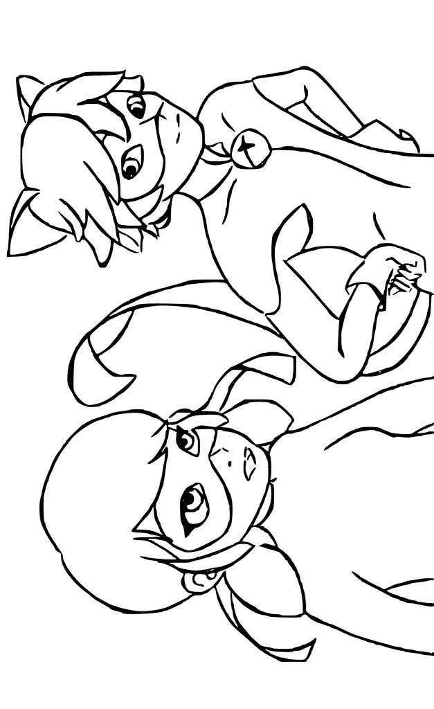 Coloring page Miraculous Tales of Ladybug and Cat Noir